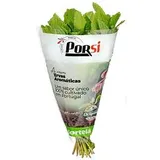 Hortelã 50 G