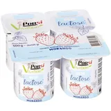 Iogurte Aroma Morango sem Lactose 4x125g