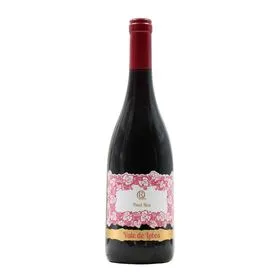 Vale De Lobos Pinot Noir Tejo Vinho Tinto