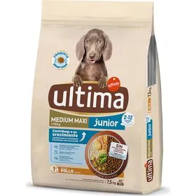Ração para Cão Júnior Médio e Maxi Frango e Arroz Affinity Ultima