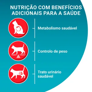 Comida Seca para Gato Esterilizado Com Salmão Purina One
