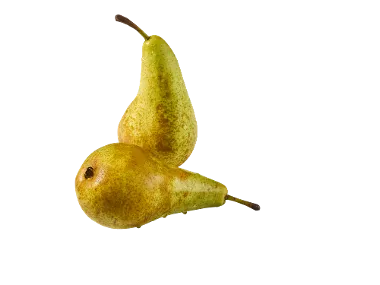 Pera Rocha