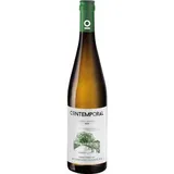 Contemporal Alvarinho Trajadura Vinho Verde Branco