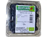 Mirtilo bio 125 g