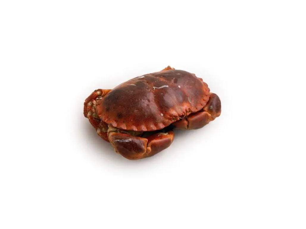 Sapateira unidade 450 g