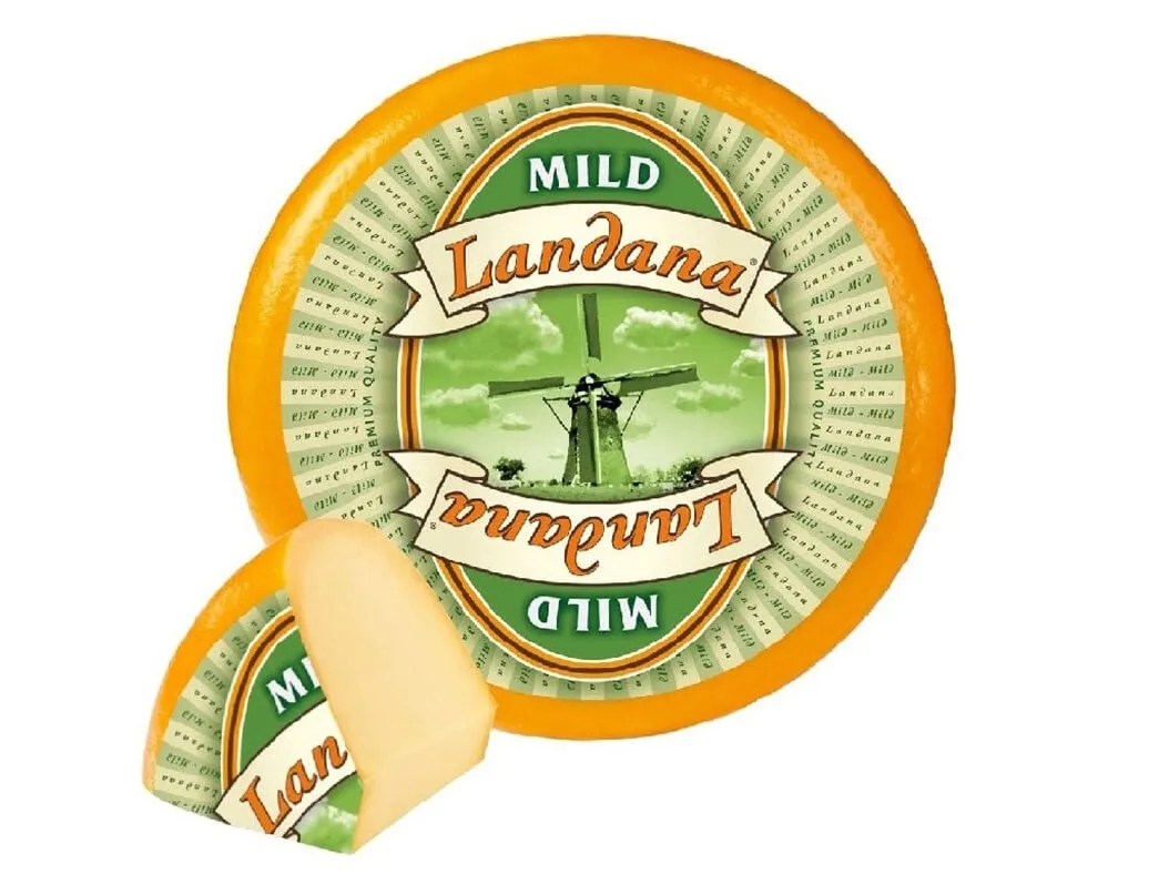 Queijo gouda Landana kg