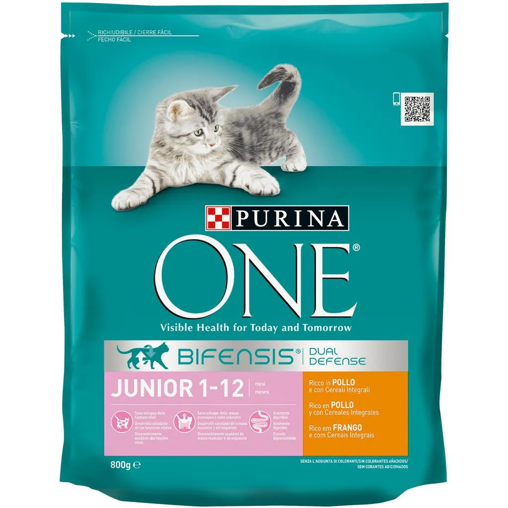 Ração para gato júnior com frango