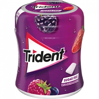 Pastilhas Elásticas Bottle Frutos Silvestres Trident