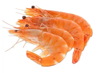 Camarão cozido vannamei Auchan 20/30 kg