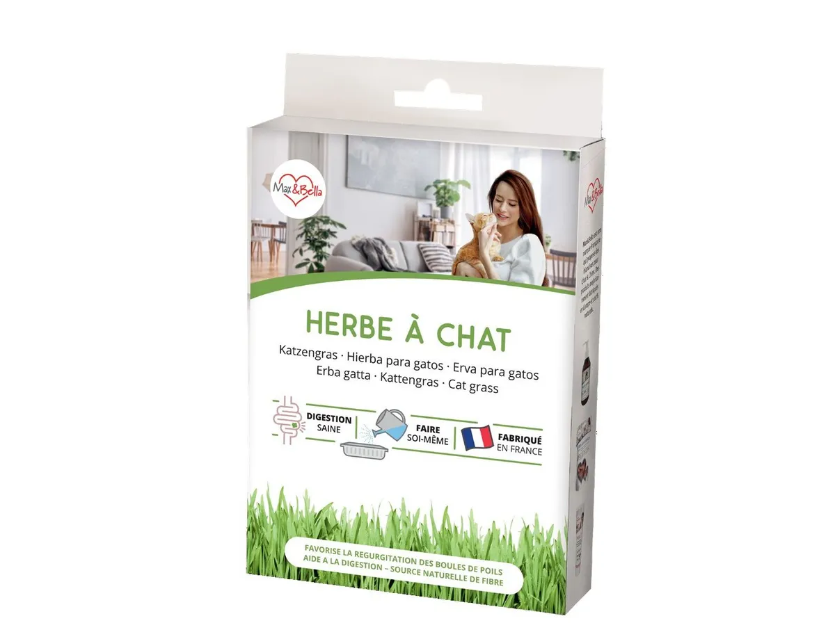 Erva para gato Max&bella 100 g