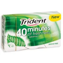 Pastilhas, 40 minutos spearmint