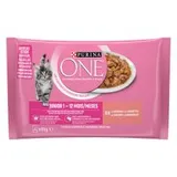 PURINA ONE Junior