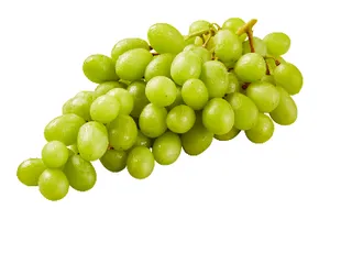 Uva branca sem Grainha