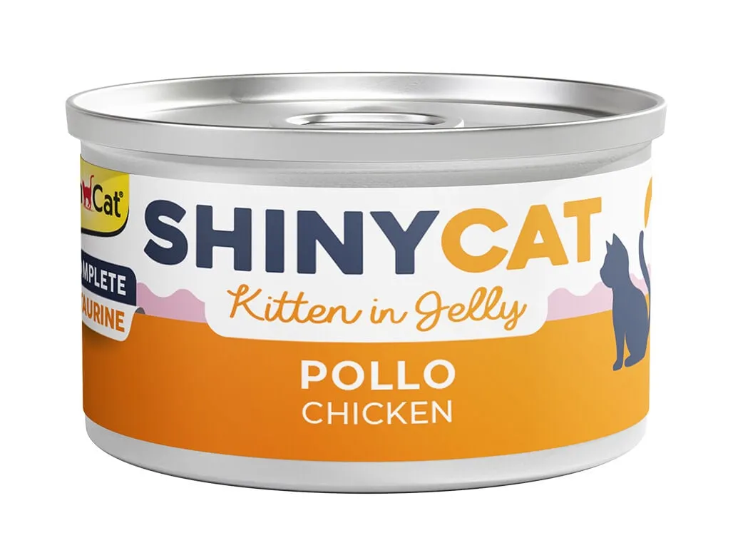 Comida húmida gato Gimcat júnior frango 70 g