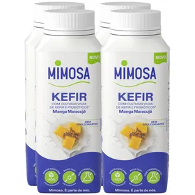 Kefir Manga e Maracujá Mimosa