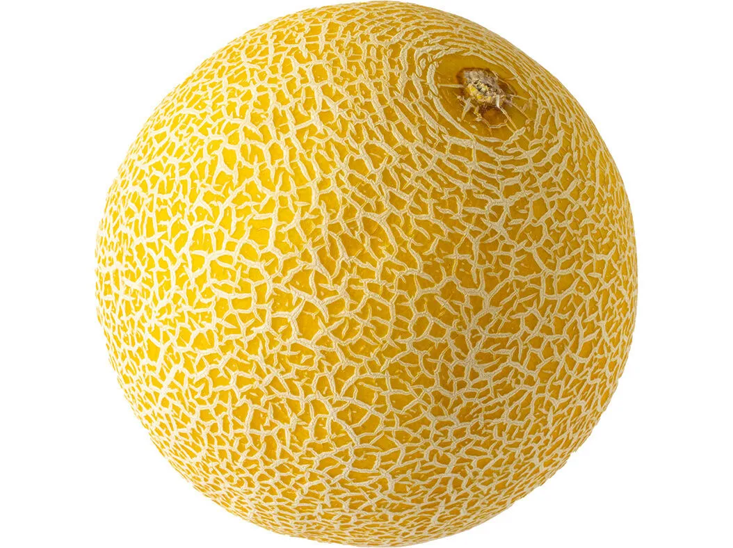 Meloa galia Auchan kg