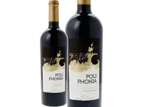 Vinho tinto Poliphonia signature alentejo 0,75 L