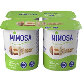 Iogurte Pedaços Cereais e Avelã Mimosa