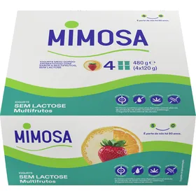 Iogurte Aroma Multifrutos sem Lactose Mimosa