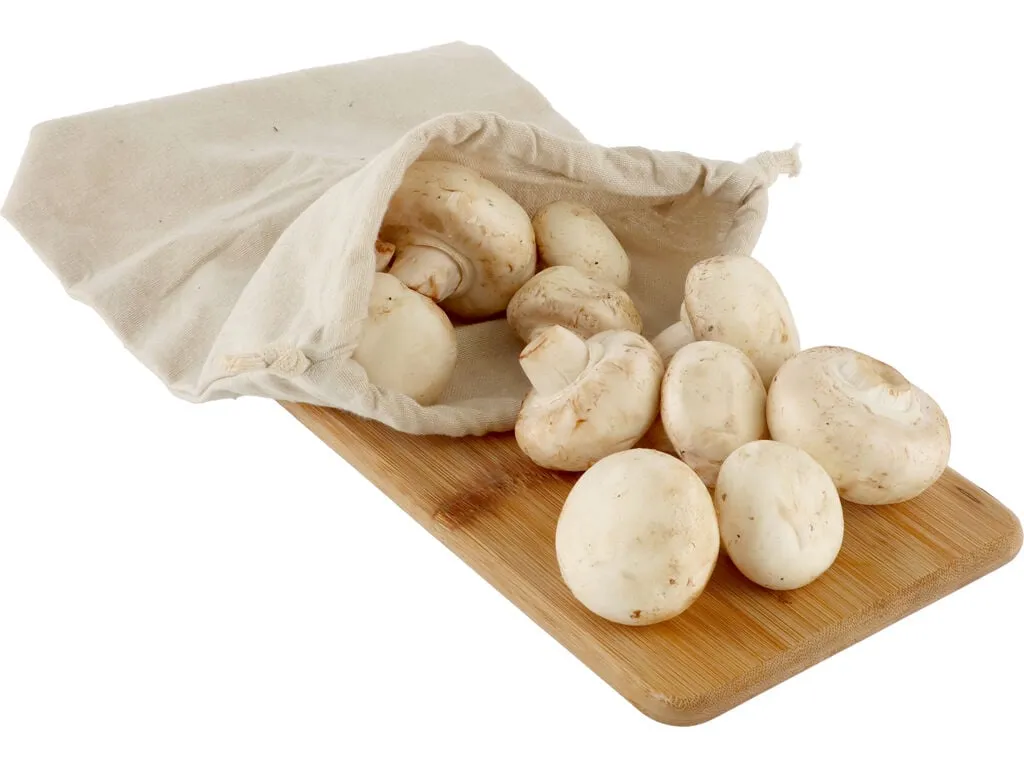 Cogumelos kg