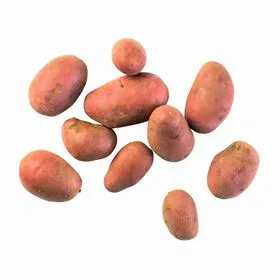 Batata Vermelha Biológica Continente Bio