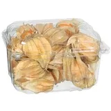 Physalis
