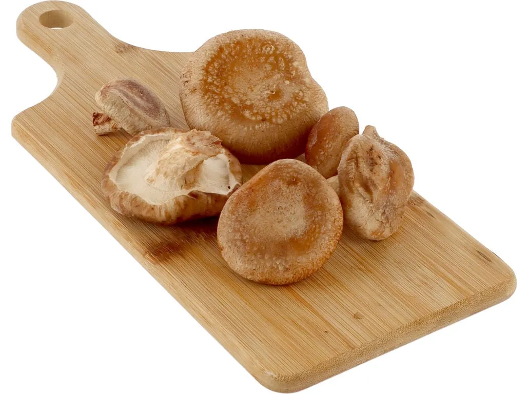 Cogumelos shitake kg