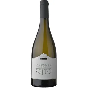 Soito Encruzado Dão Vinho Branco
