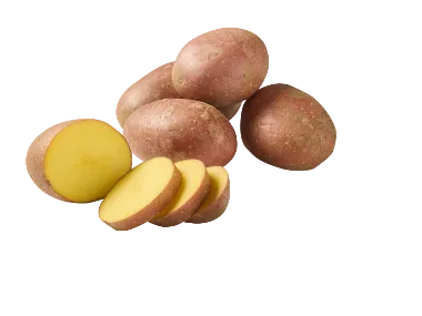 Batata Vermelha