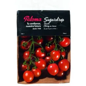 Tomate Cherry com Rama Paloma