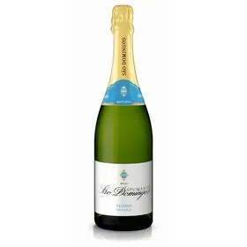 São Domingos Reserva Espumante Meio Seco Branco