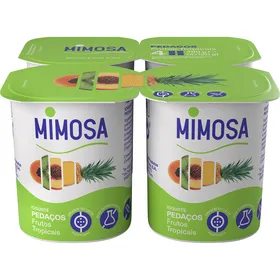 Iogurte Pedaços Frutos Tropicais Mimosa