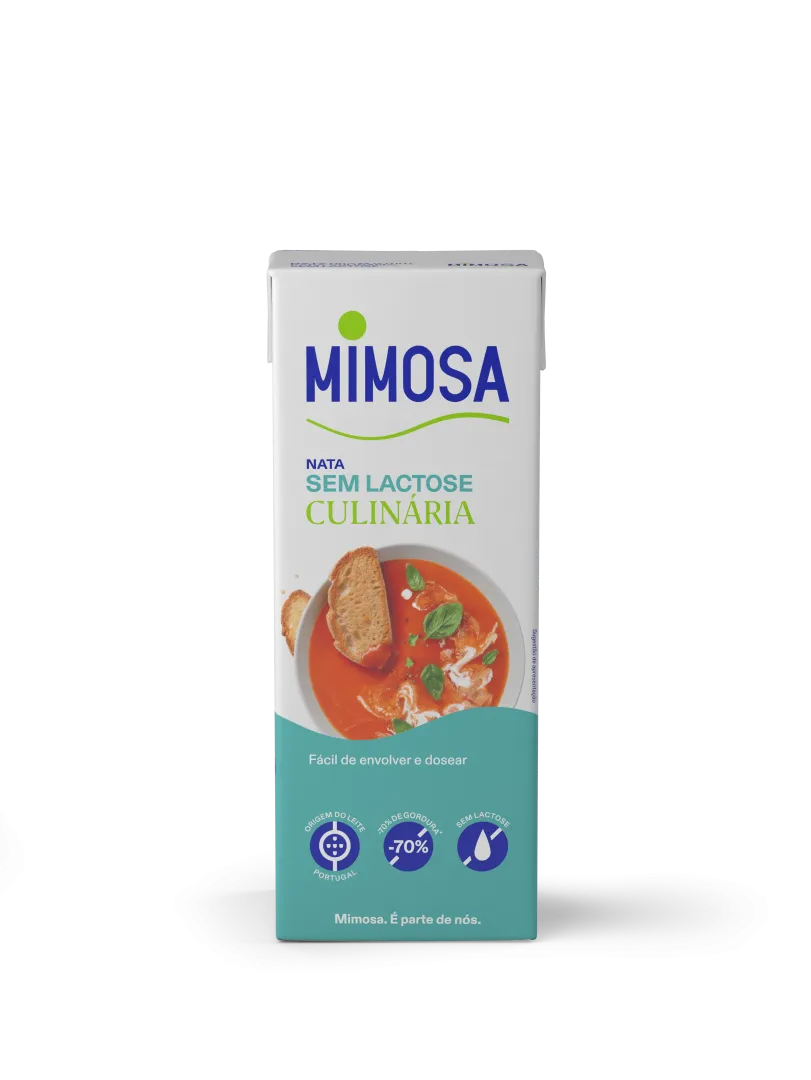 Natas Cremosas Sem Lactose
