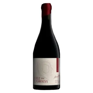 Vinho Tinto da Beira Interior 75 cl Vale dos Ladroenes