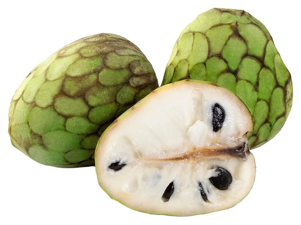 Anona kg