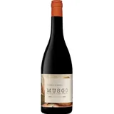 Vinho Tinto do Dão Alfrocheiro garrafa 75 cl - Musgo