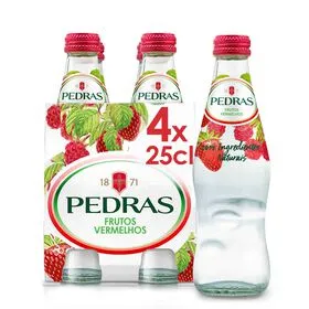 Água com Gás Frutos Vermelhos Pedras Salgadas