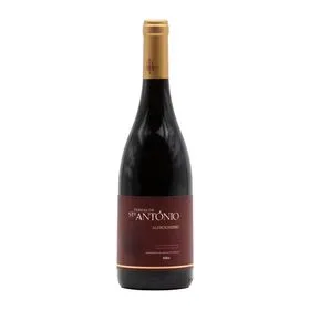 Terras de Santo António Alfrocheiro Dão Vinho Tinto