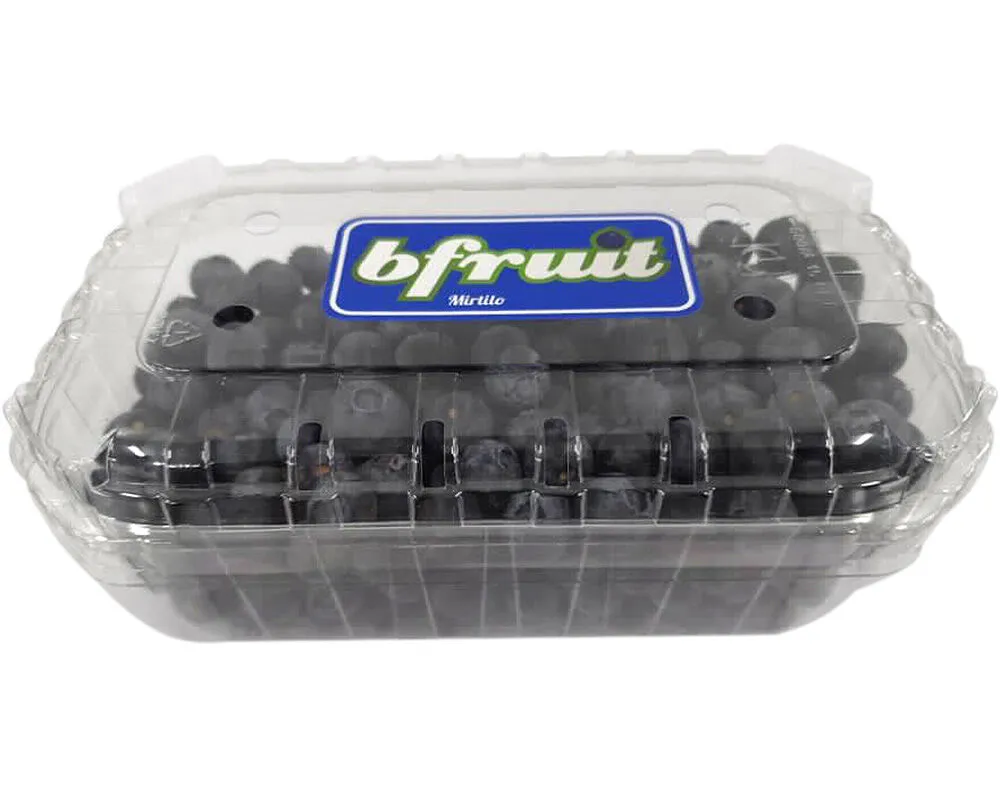Mirtilo 500 g