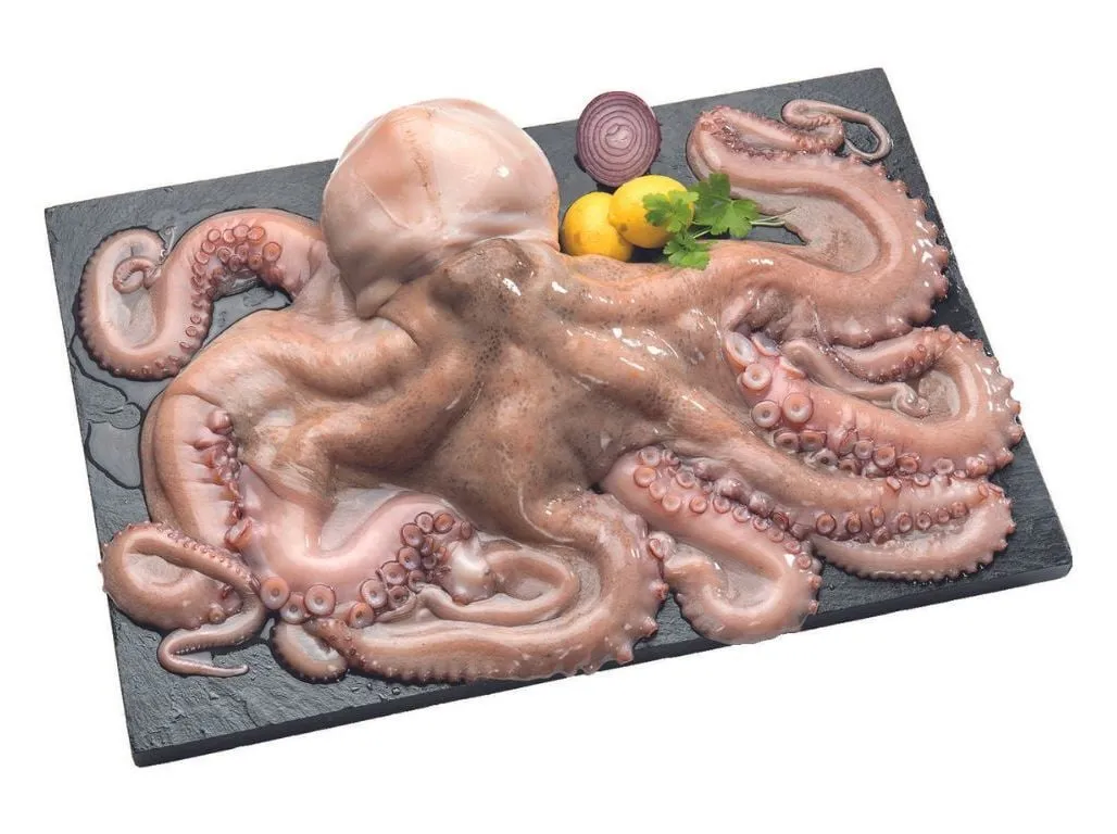 Polvo congelado (4 a 5 kg)