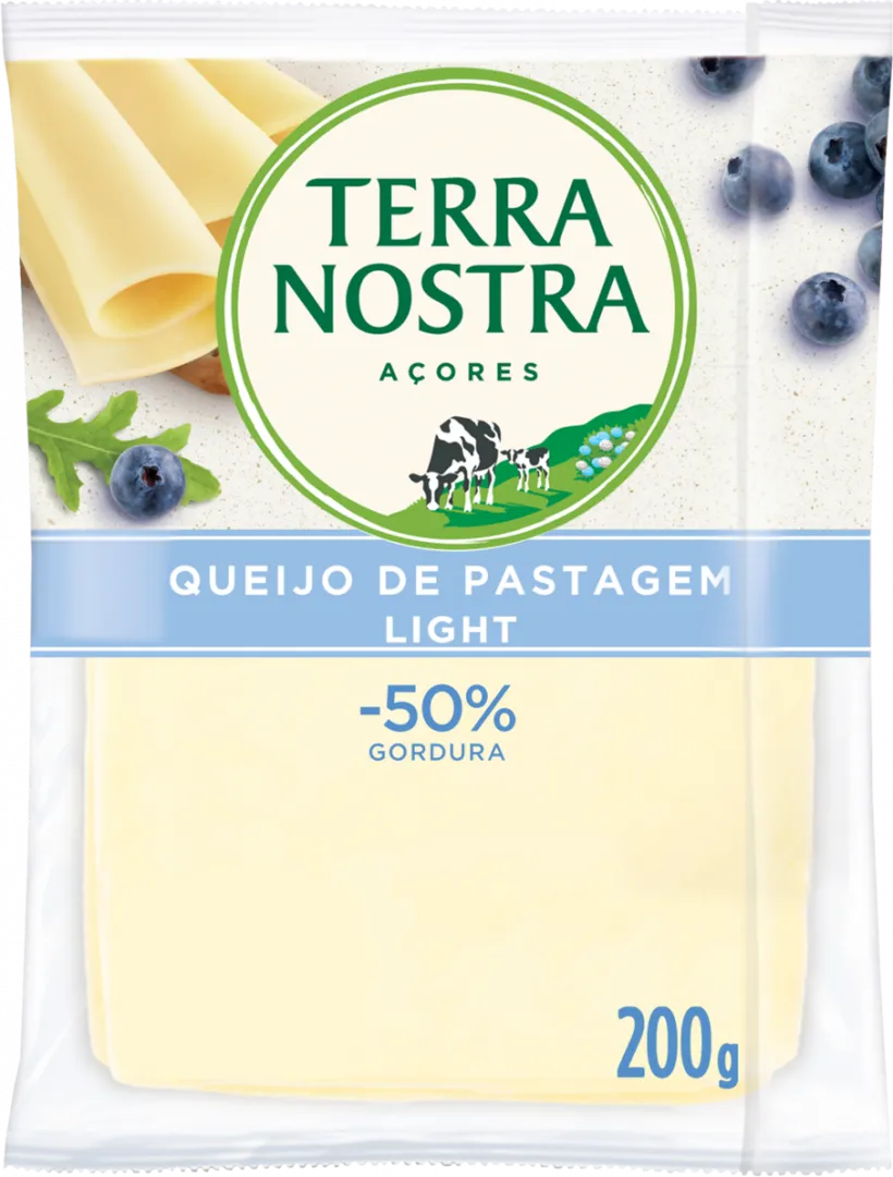 Queijo Flamengo Light Fatiado