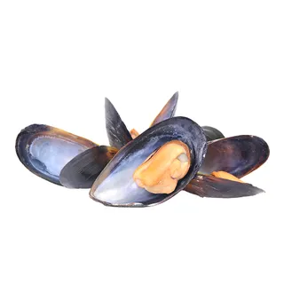 Mexilhão Fresco Nossa Peixaria