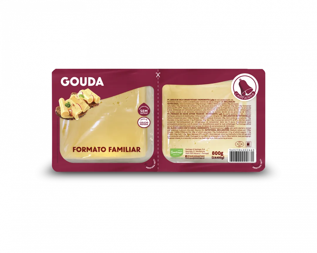 Queijo Gouda Fatiado