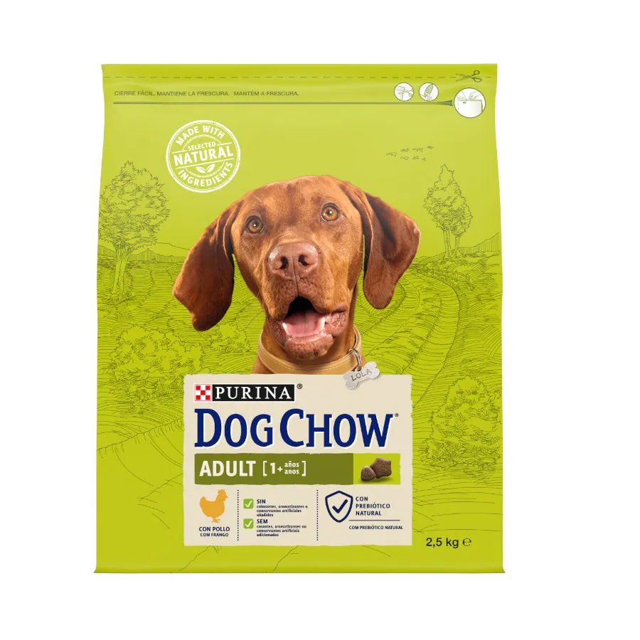 Dog Chow Adult Frango ração para cães