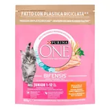 Ração para gato júnior frango