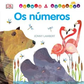 Brinca e Descobre - Os Números de Jonny Lambert