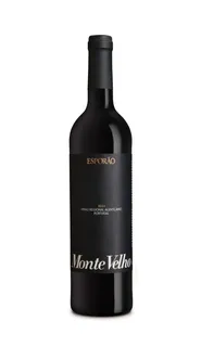 Vinho Tinto Alentejo Monte Velho