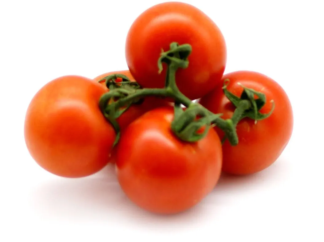 Tomate rama kg