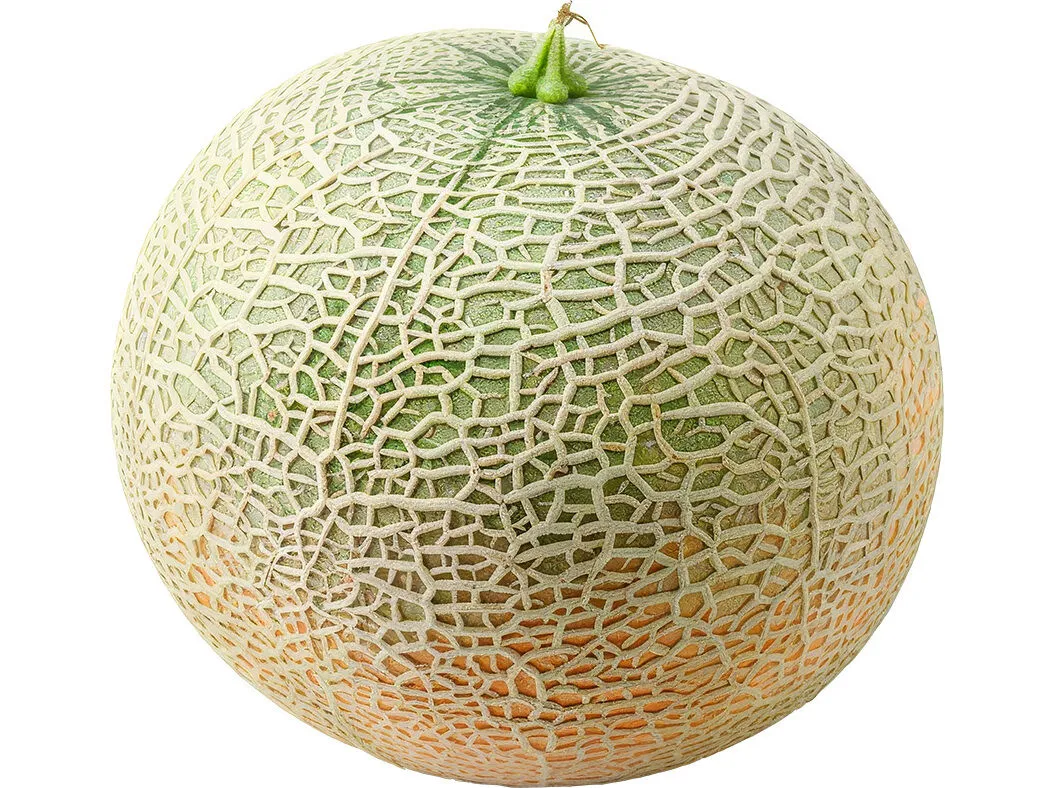 Meloa cantaloupe Auchan kg