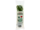 Coentros Auchan 50 g